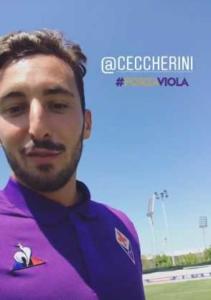 ceccherini ig fiorentina